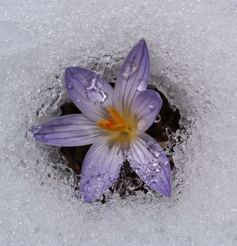 Неизвестная Жывотная Науке | 