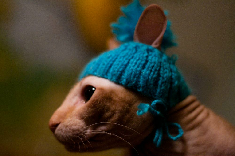 Анна Белая | Санкт-Петербург