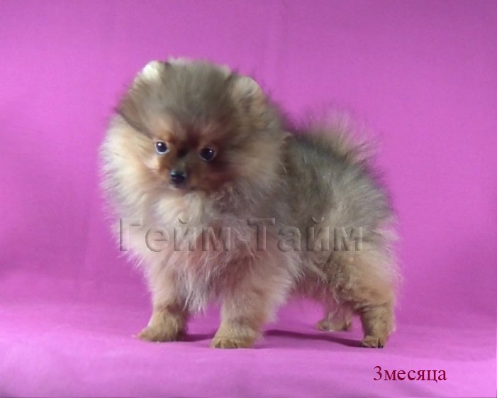 Любовь Якубович | Калуга