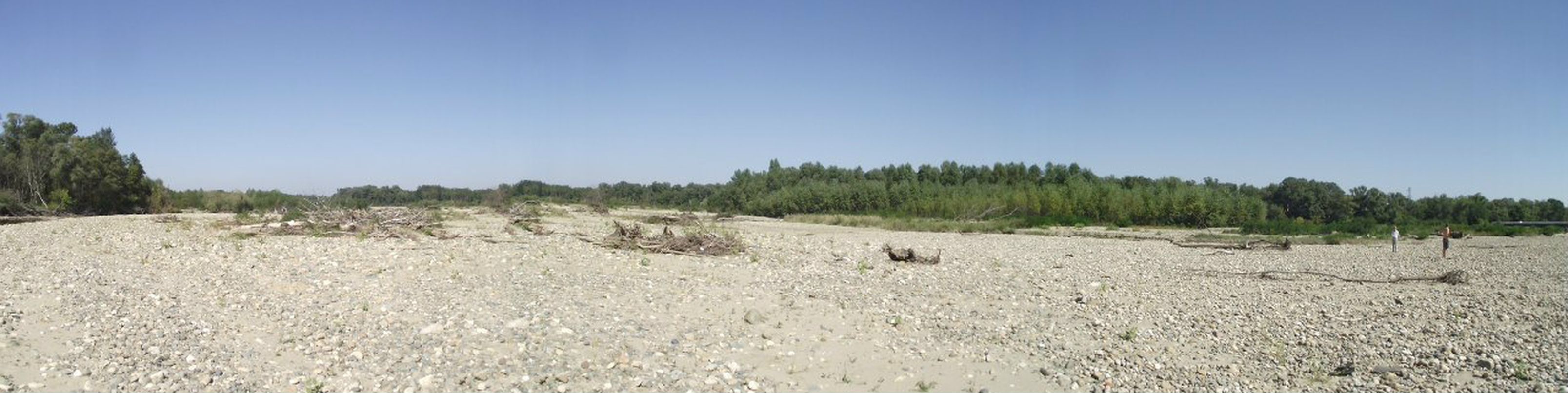 Николай Синельников | Санкт-Петербург