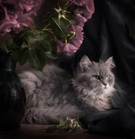 Наталья Карпова | Санкт-Петербург