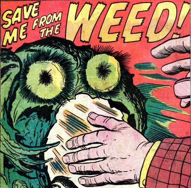 Борис Садыхов | Баку