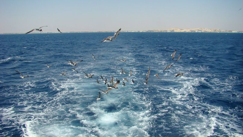 Марыся Атауш | Ростов-на-Дону