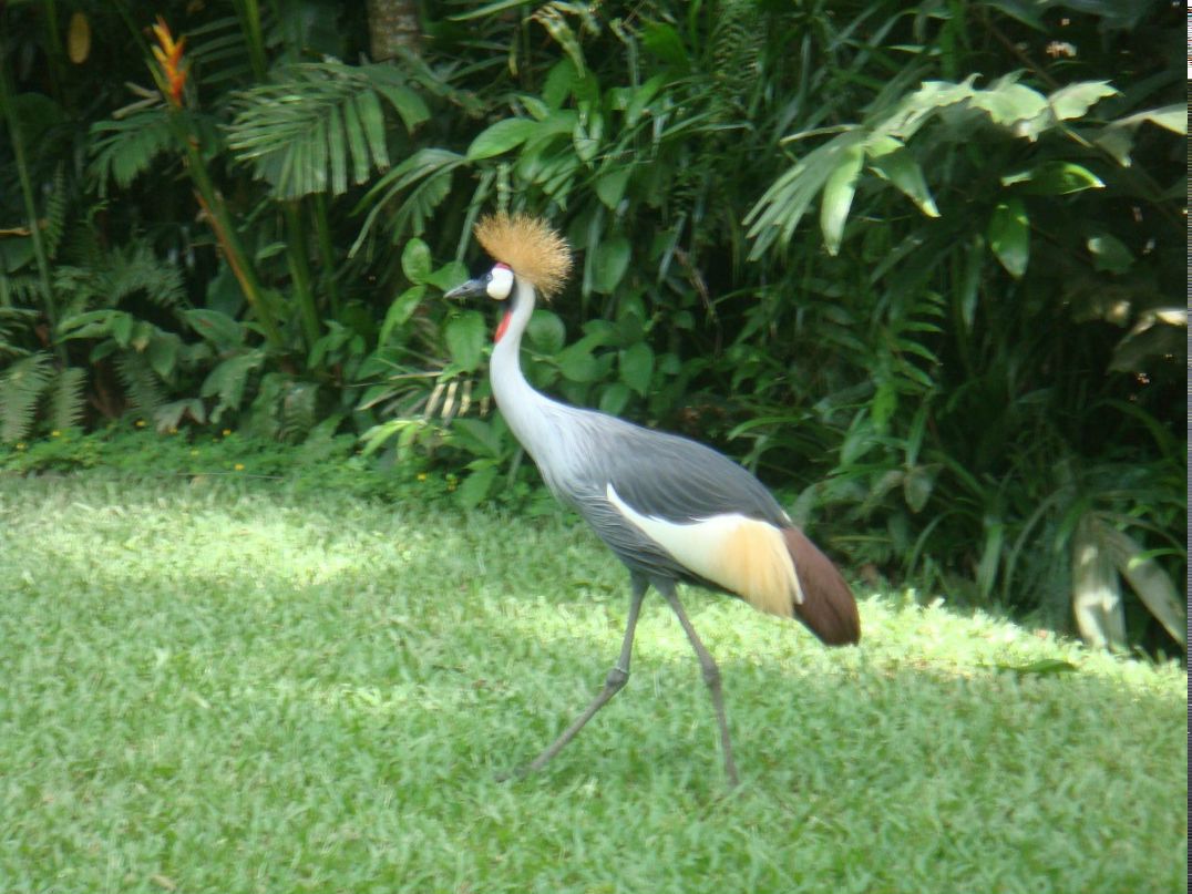 Екатерина Соколова | Москва