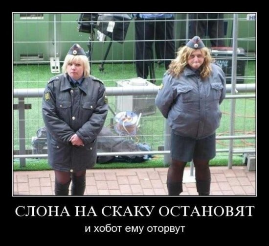 Alex Mavisakalian | Ереван