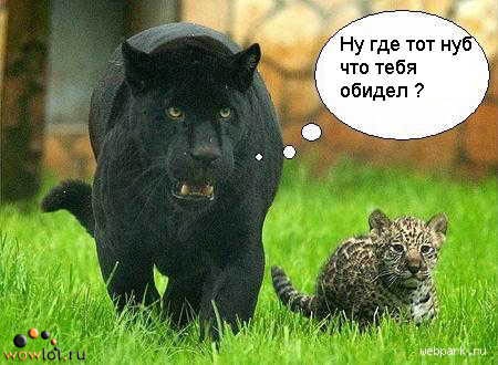 №11, Вера Сучкова №11, Вера Сучкова