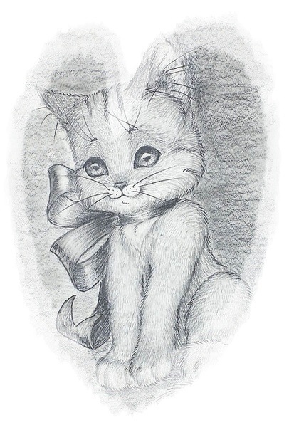 №11, Аида Гейдарова, Санкт-Петербург №11, Аида Гейдарова, Санкт-Петербург