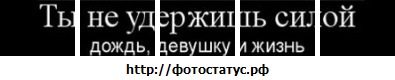 №96, Алексей Дмитриев, 34 года, Кунья №96, Алексей Дмитриев, 34 года, Кунья