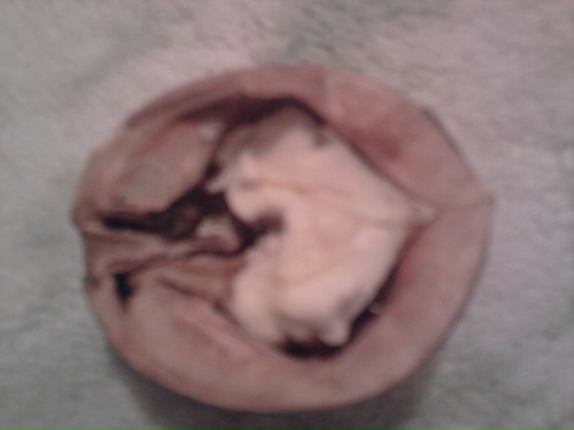 Виктория Бровко | Запорожье