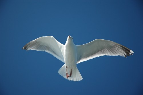 Наташа Гольцман | Москва