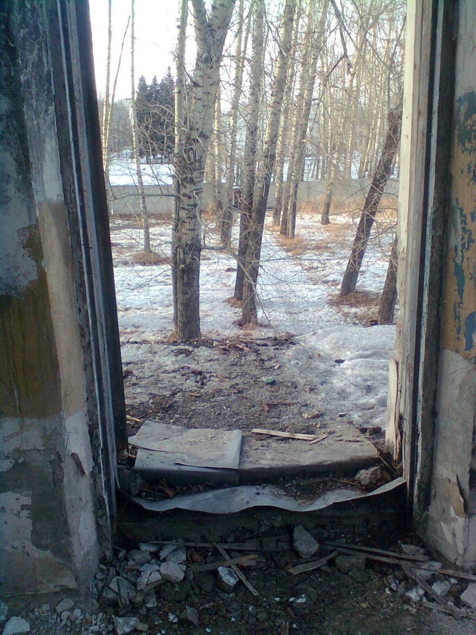 Кирилл Косолапов | Берлин