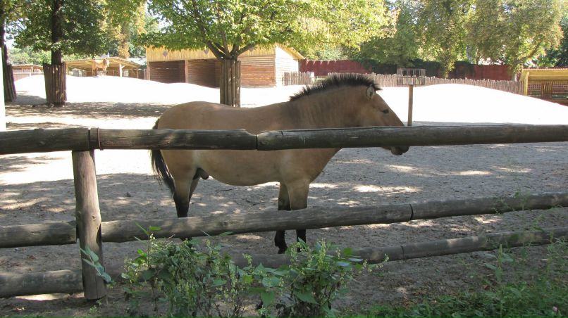 Lera Lebedeva | Киев