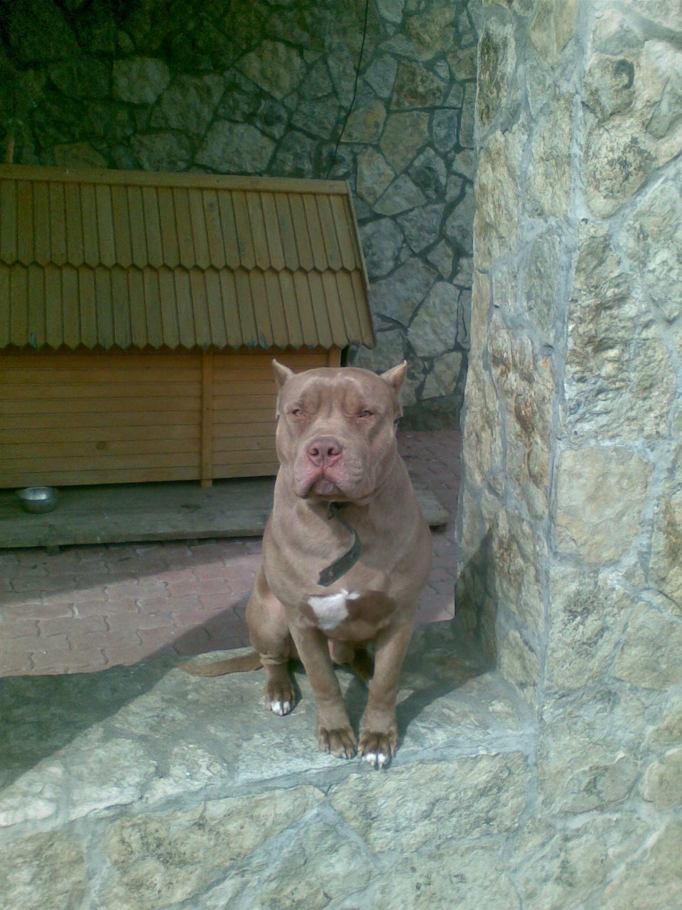 Oleg Rudan | Черновцы