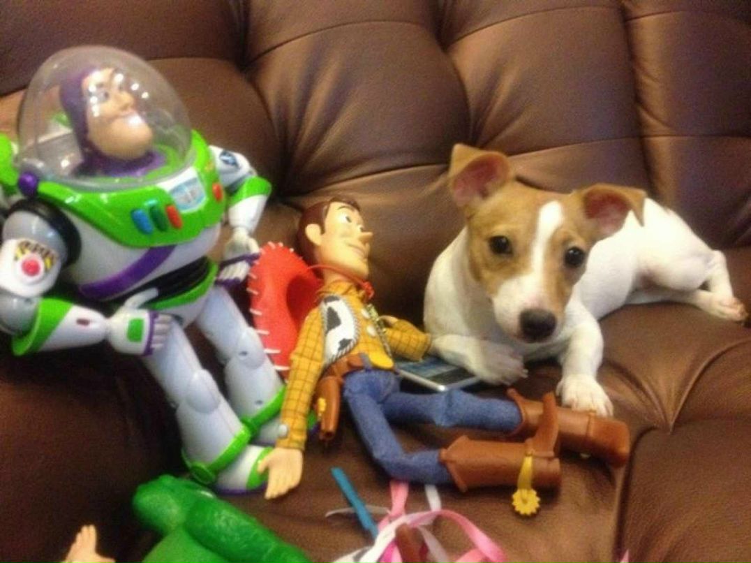 Яков Андросов | Нерюнгри