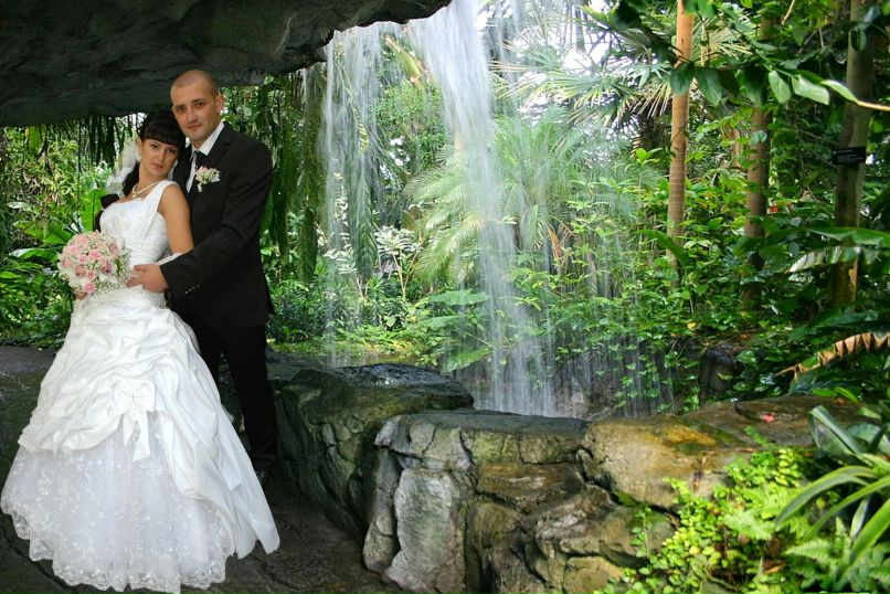 Міша Голубка | Ужгород