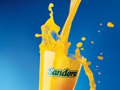 Светлана Салогуб | Кременчуг