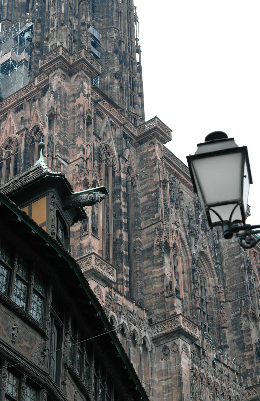 Владимир Петров | Москва