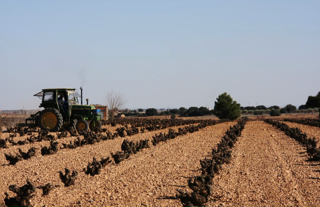 Мария Каспер | Москва