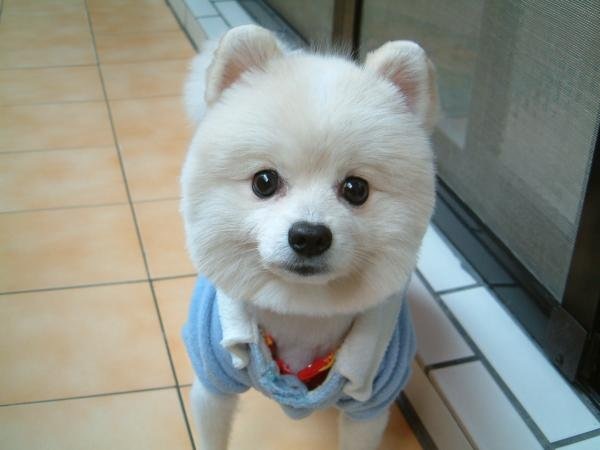 №2, Лика Ли, Тбилиси №2, Лика Ли, Тбилиси