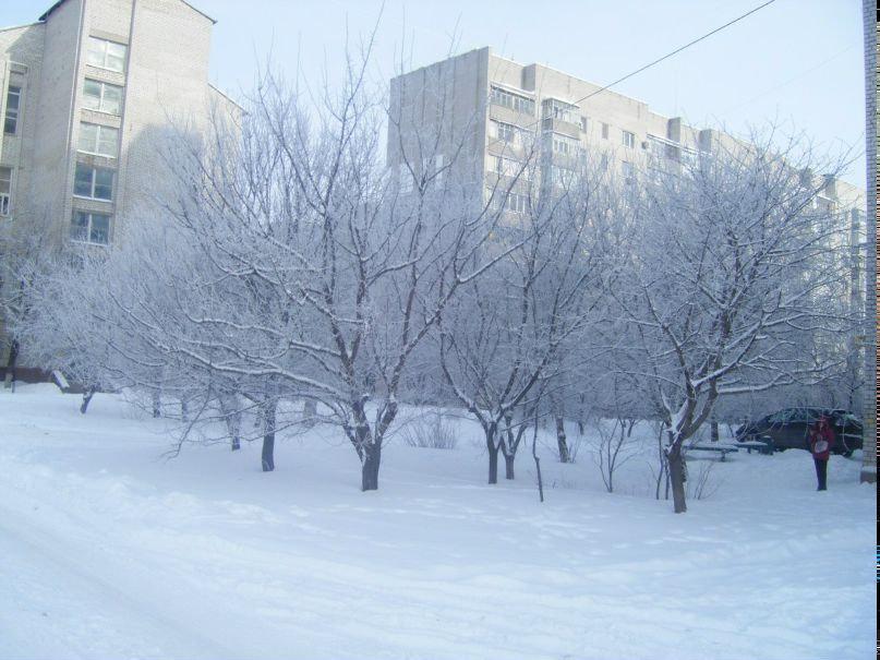 Александра Пахомова | 