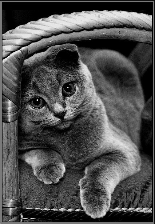 Анна Суворова | Белгород