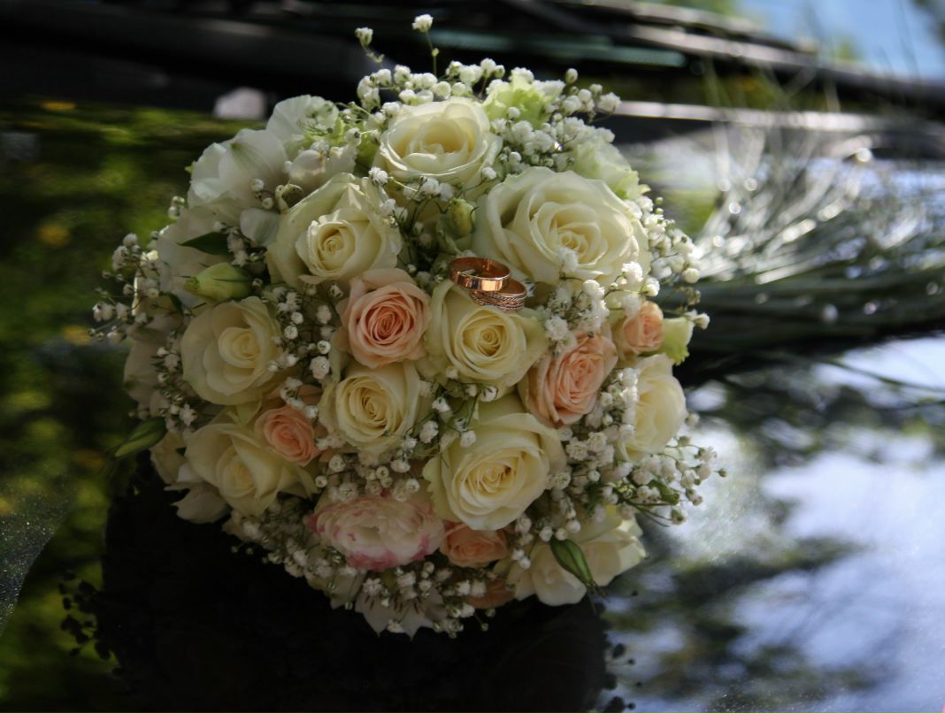 Таня Каргаева (Грищенко) | Киев