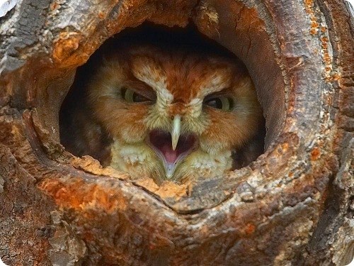 Илья Скнар | Киев