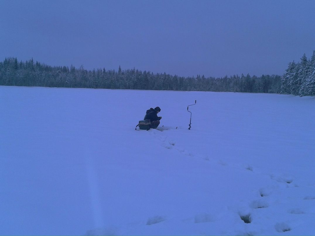 Сергей Глушко | 