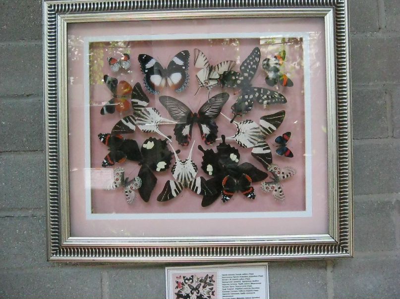 Мария Конопля | Минск