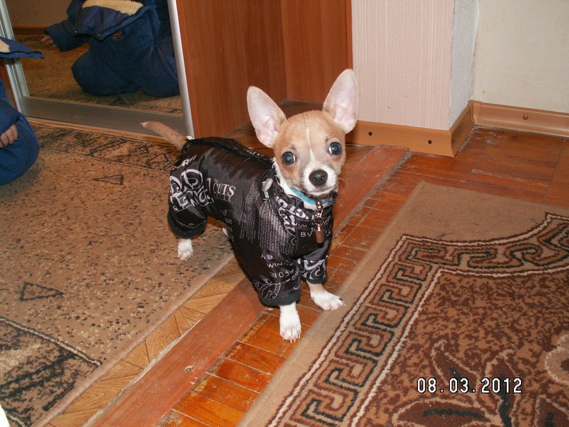 Яков Писарев | Петрозаводск