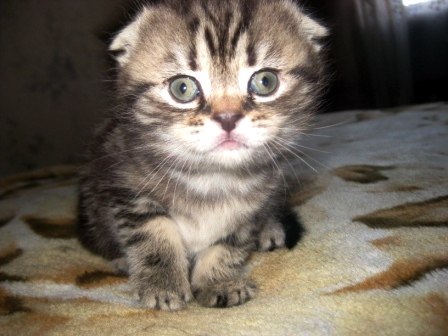 Таисия Пересыпайло | Ростов-на-Дону