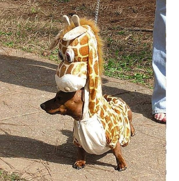 №63, Виктор Лацвиев, 35 лет, Магадан №63, Виктор Лацвиев, 35 лет, Магадан