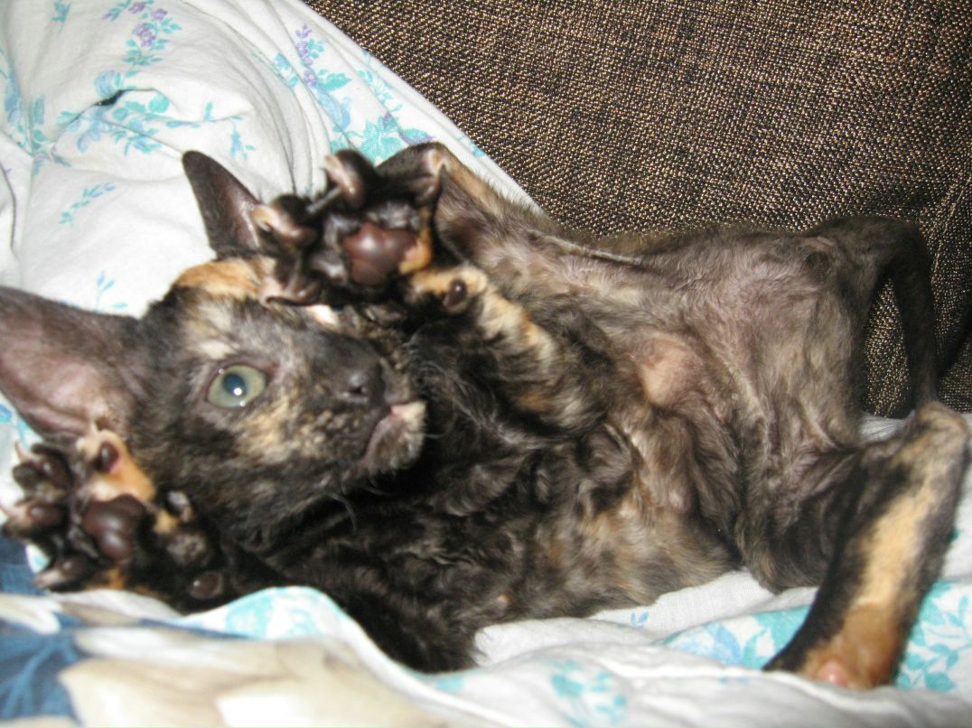 Маруська Гапоненко | Тамбов