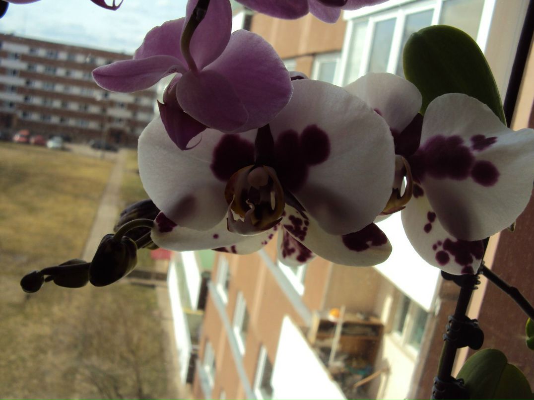 Olga Zagarova | Тарту