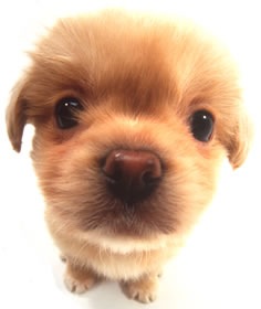 №5, Наталья Никандрова, Санкт-Петербург №5, Наталья Никандрова, Санкт-Петербург