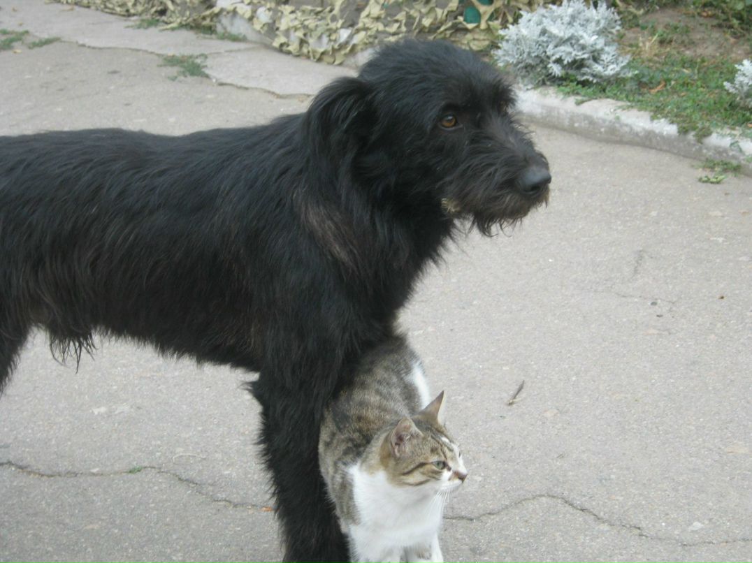 Наталья Загуляева | 