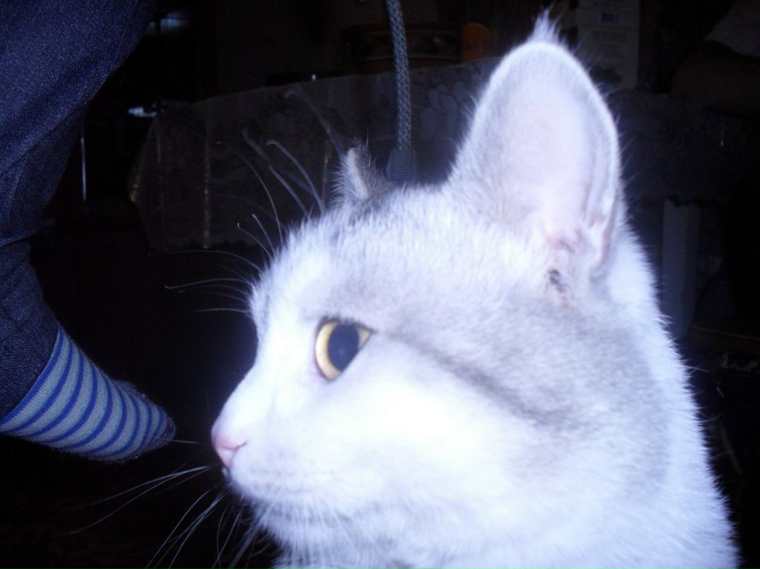 Сергей Асеев | Нижний Новгород