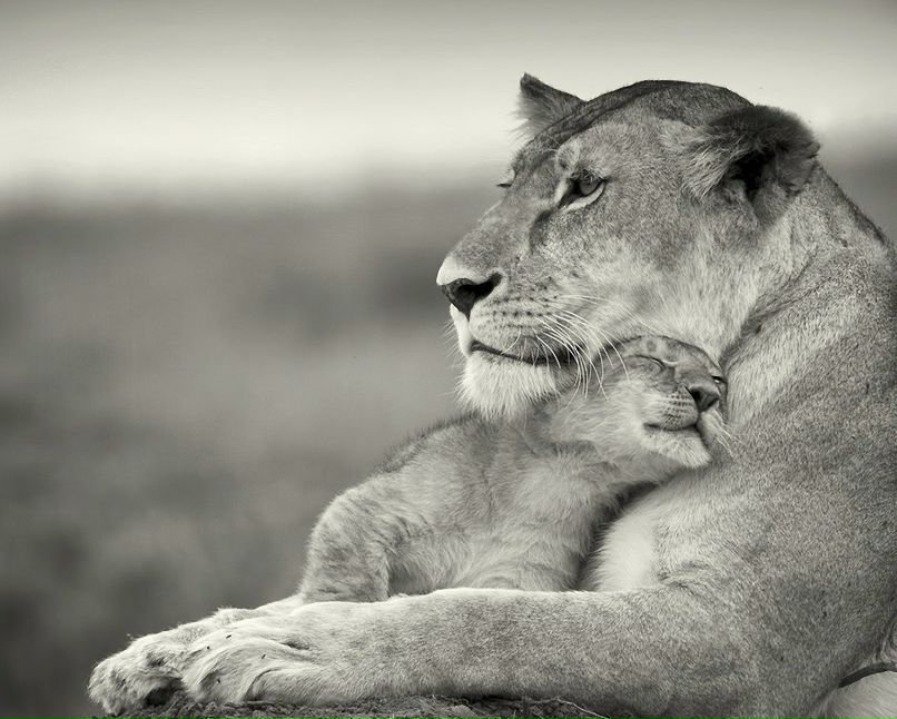 Татьяна Охота | Одесса