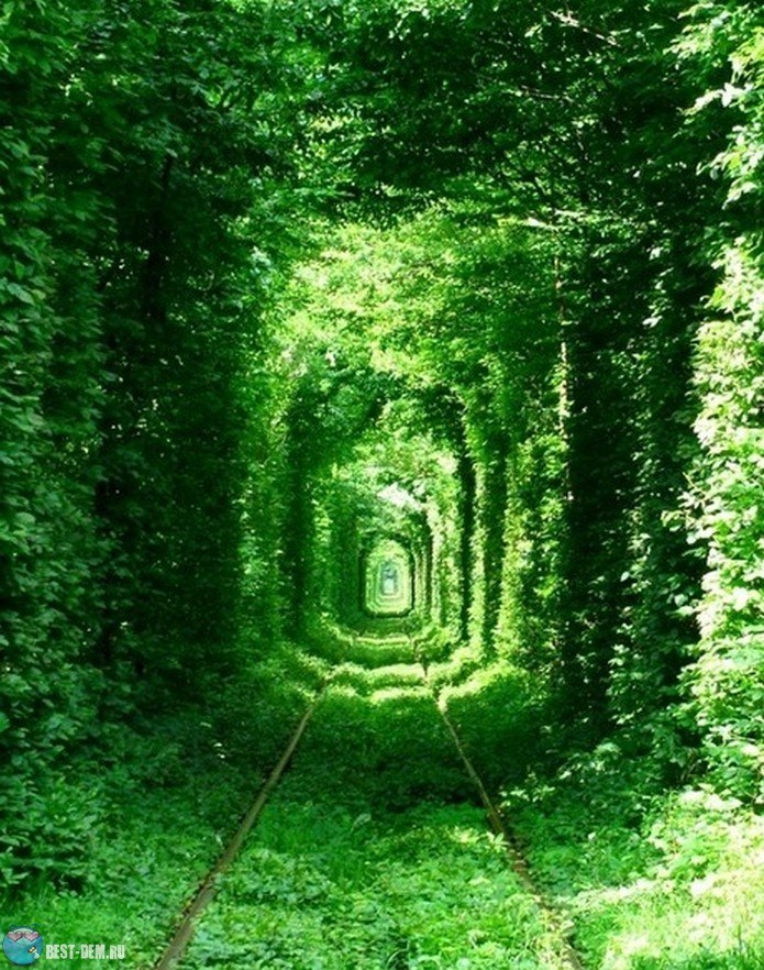 Валерия Ананьина | Санкт-Петербург