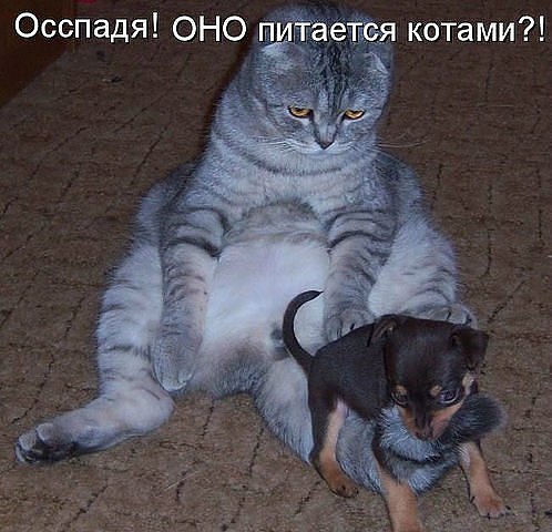 Полина Коваленко | Ростов-на-Дону