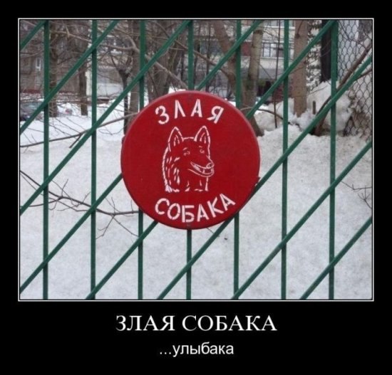 Алексей Галактионов | Санкт-Петербург