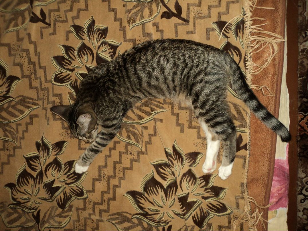 Светочка Краснова ♥♥♥ | Москва