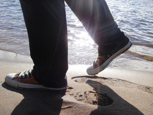 №34, Сергей Цыганков №34, Сергей Цыганков