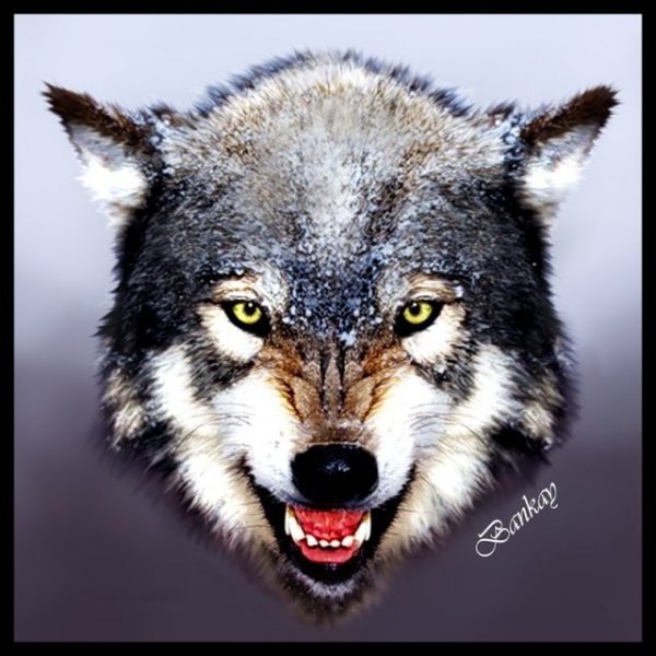 Владимир Владимиров | 