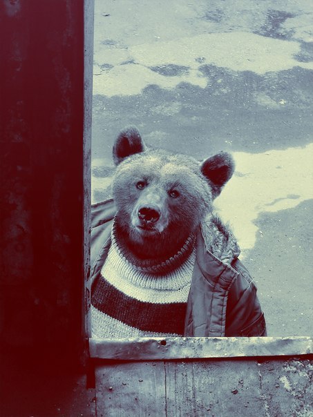 Станислав Макаркин | Казань