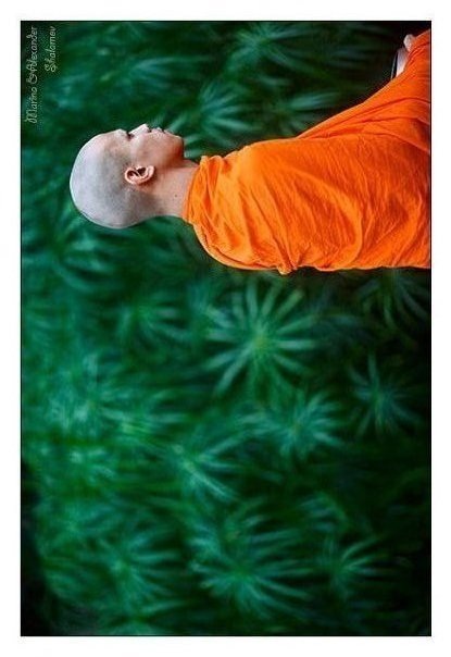 №53, Волесино Гаражанет, 26.2, La Tania №53, Волесино Гаражанет, 26.2, La Tania