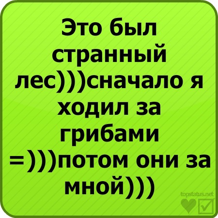 Смешные статусы для контакта картинки