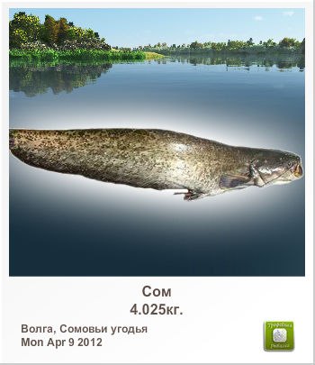 Рома Ясинский | Киев