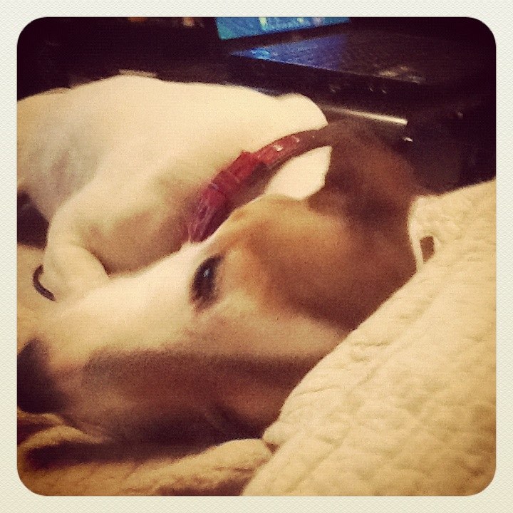 Алексей Serka alexGRey | Москва