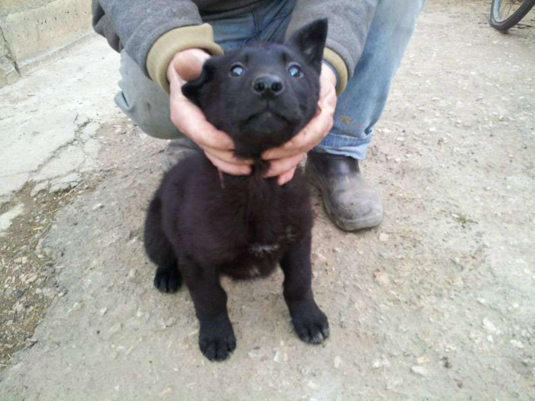 Вадим Якименко ⎷⎛ | Düsseldorf